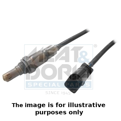 Oxygen Sensor